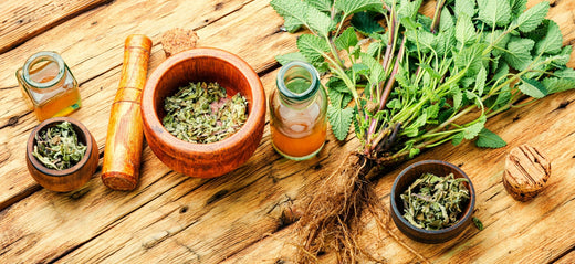 Best Ayurvedic Herbs for Women’s Health