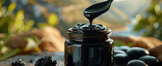 Best Shilajit Resin Manufacturers in India