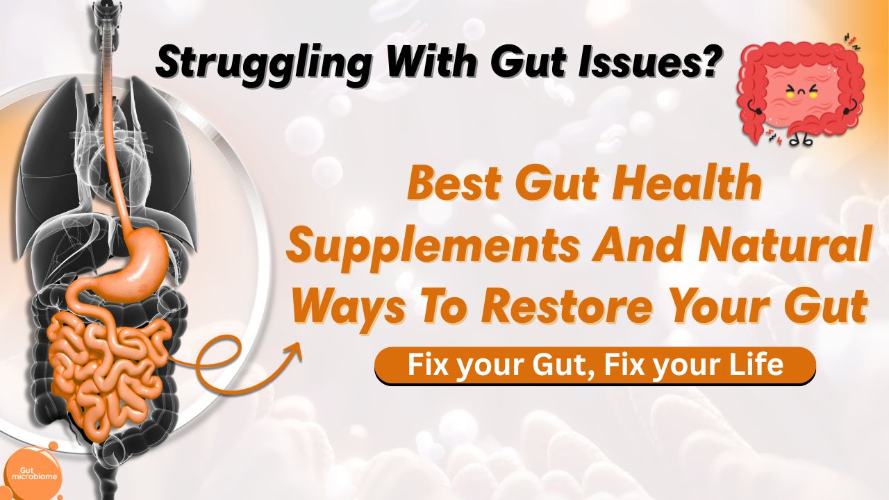 Best Gut Health Supplements & How to Fix Gut Health Naturally