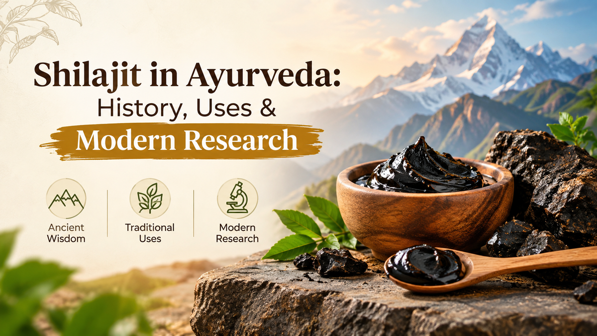Shilajit in Ayurveda: History, Traditional Uses and Modern Research