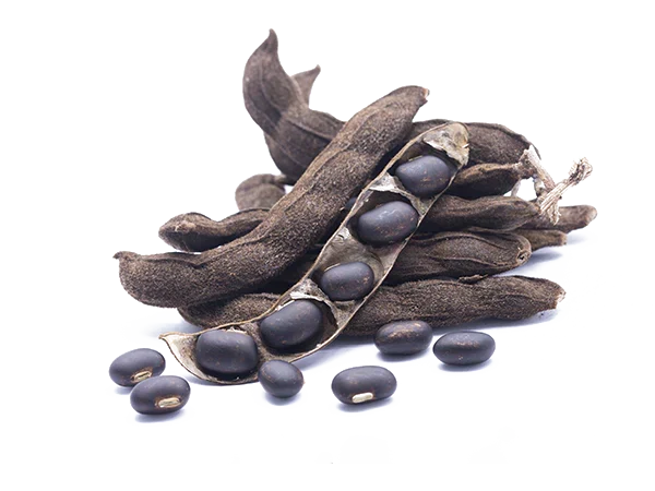 Kapikachhu