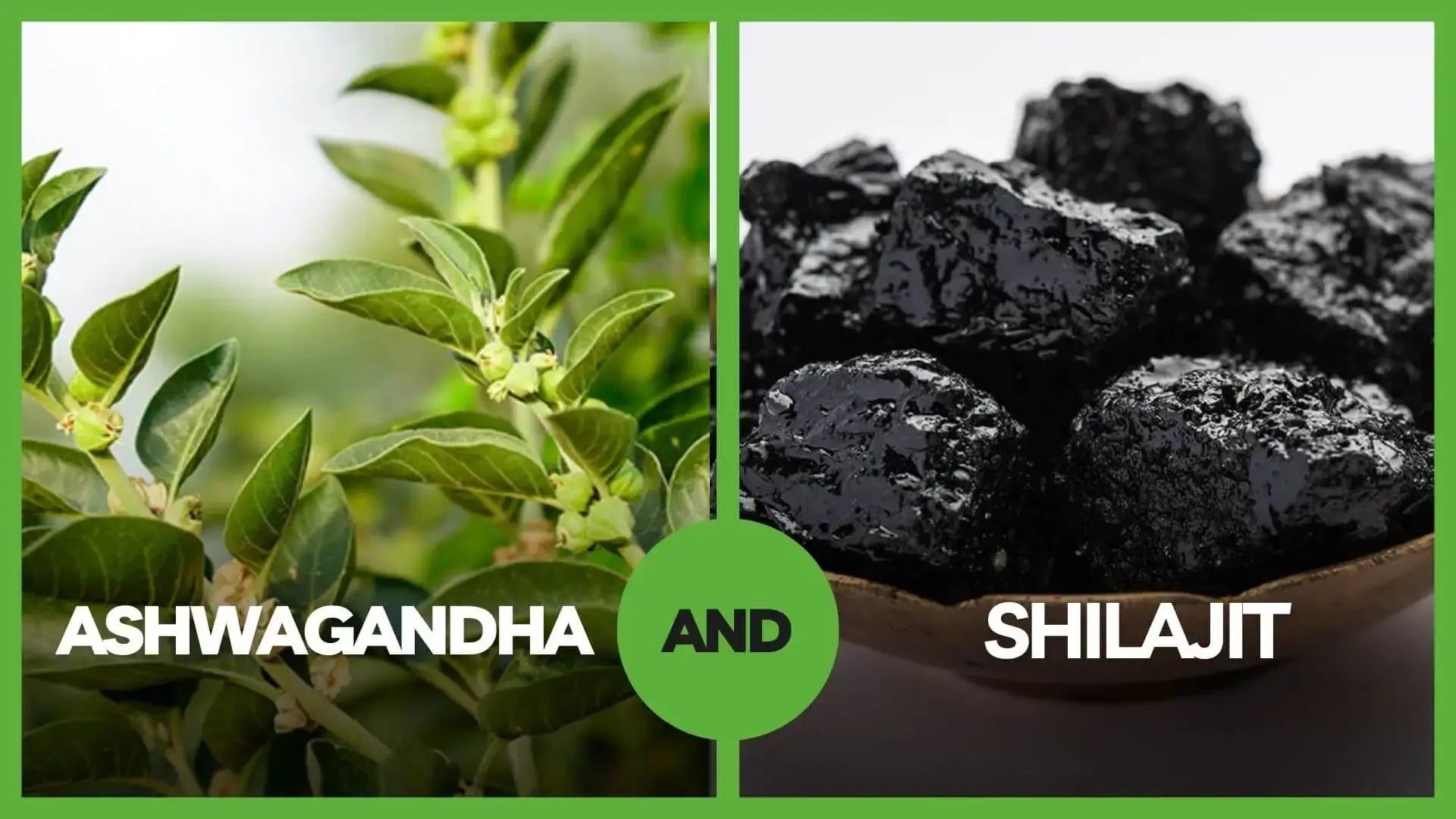 Can You Take Shilajit and Ashwagandha Together