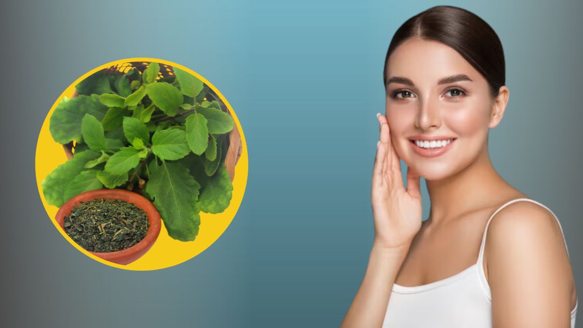 Tulsi Powder Benefits for Skin: Ayurvedic Solution for Clear & Glowing Skin