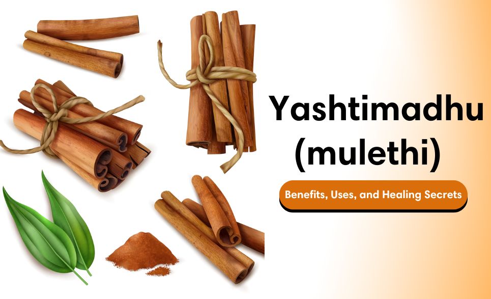 Yashtimadhu (mulethi) in Ayurveda