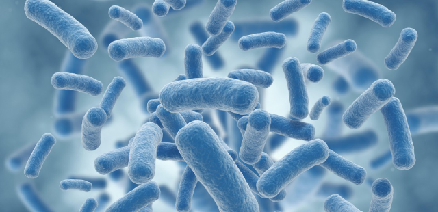 Excess Toxins Exposure
