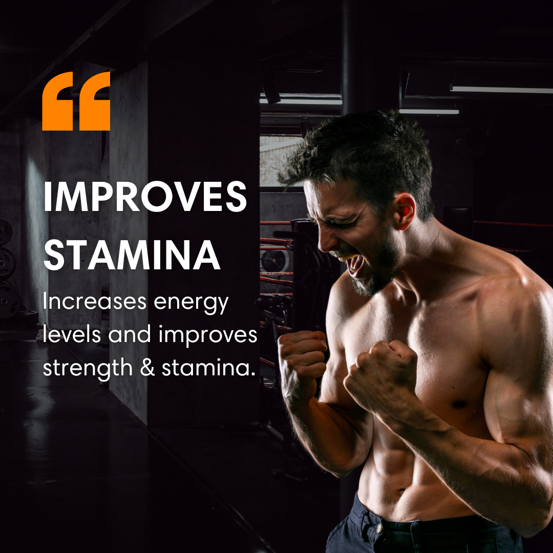 Improve stamina Pure Himalayan Shilajit Resin Deep Ayurveda