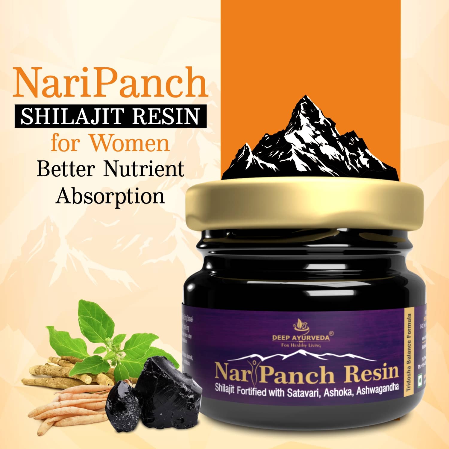 NariPanch Shilajit Resin - Deep Ayurveda India