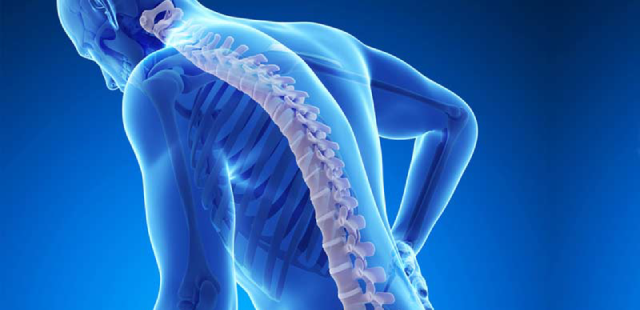 Prednisolone & Other Oral Steroids