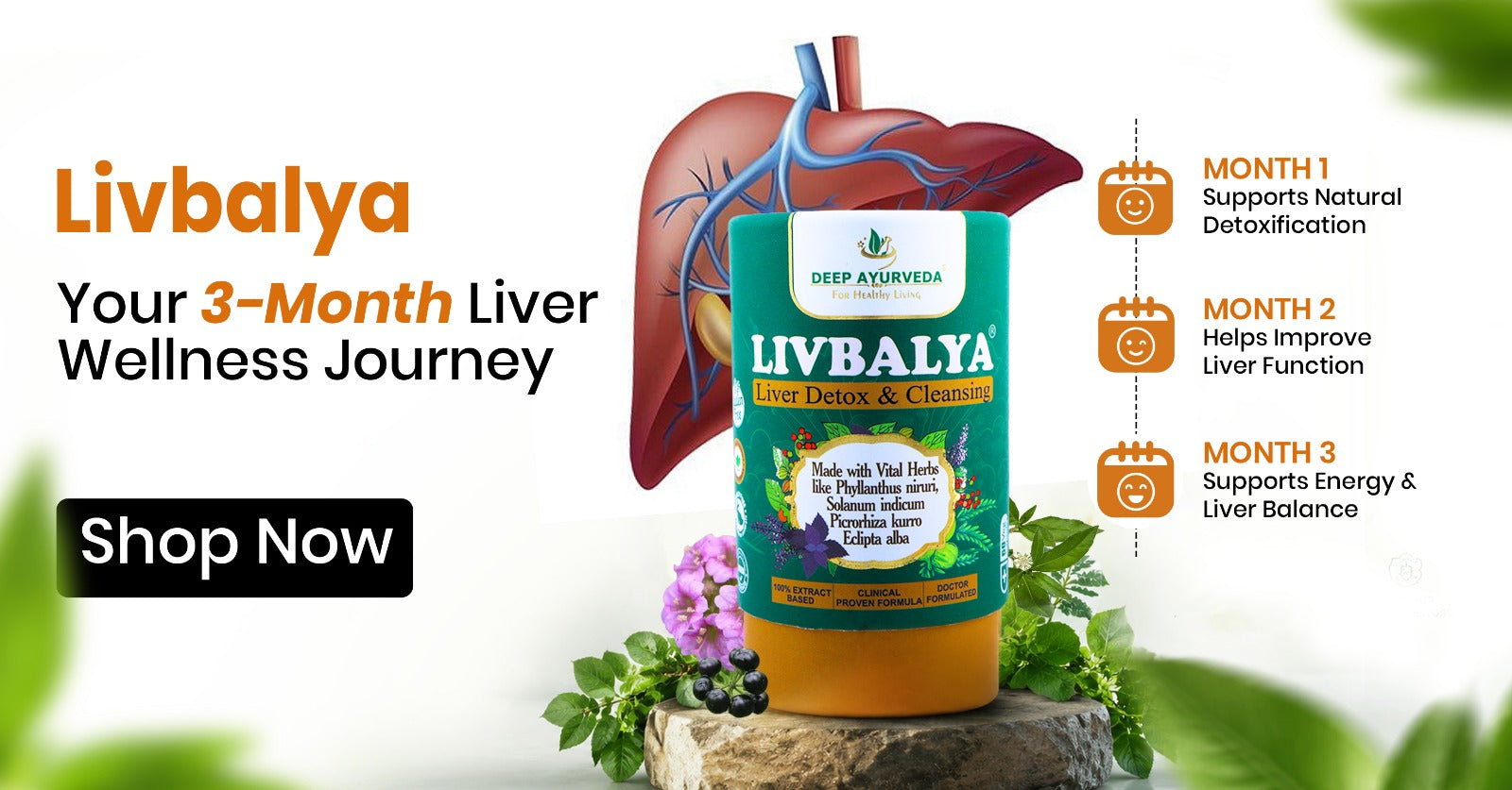 Deep Ayurveda India