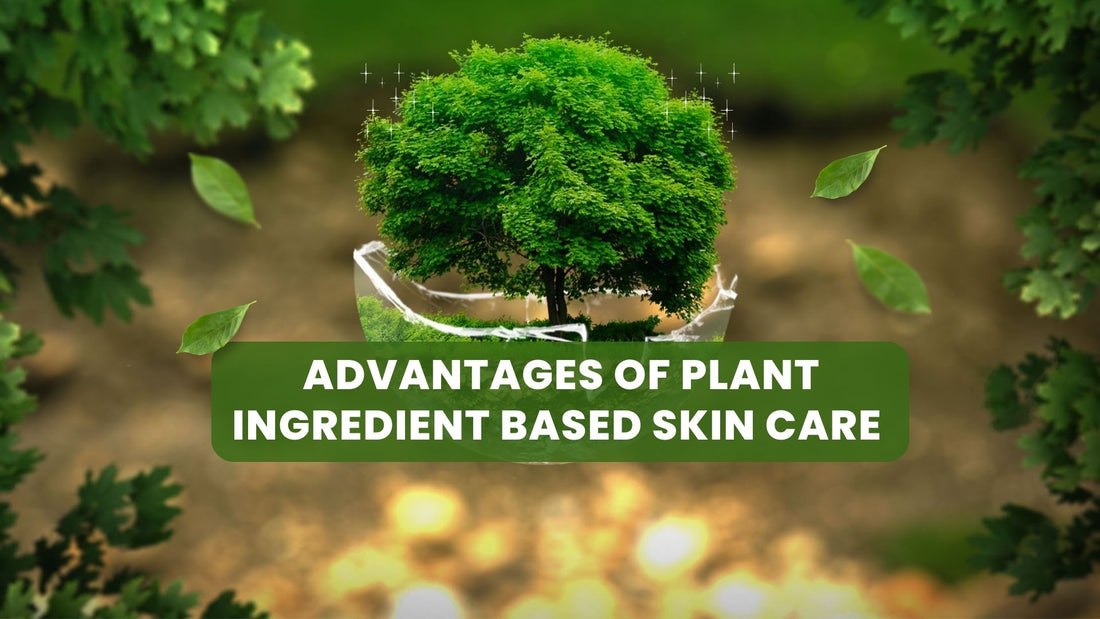 Advantages of Plant Ingredient Based Skin Care