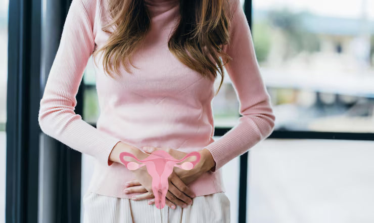 Ayurvedic Medicines for PCOS