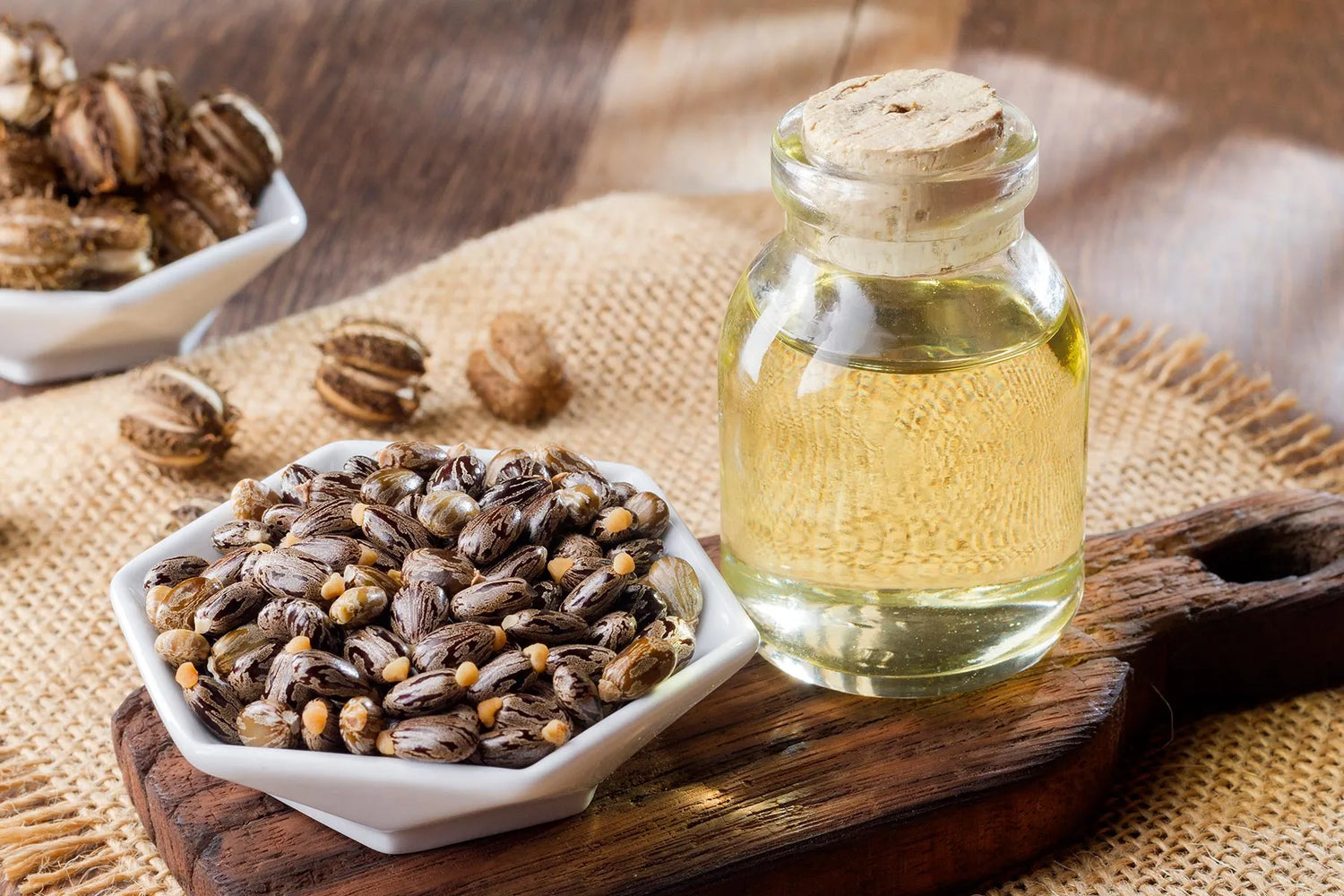 Castor Oil (Erand Tail) – Benefits & Healing Uses
