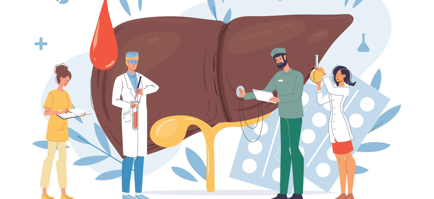 Fatty Liver Medicine​