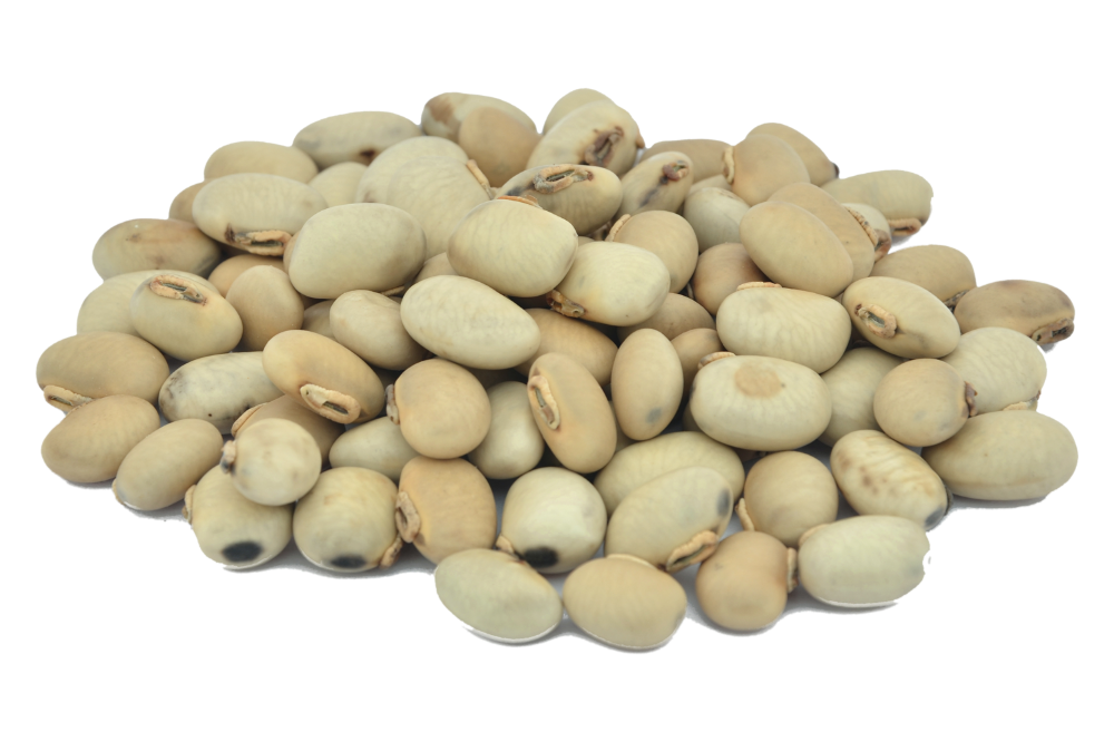 Kaunch Beej Seeds