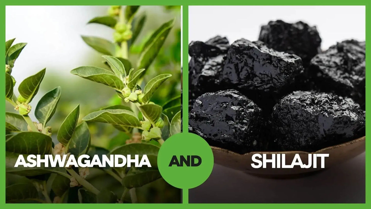 Can You Take Shilajit and Ashwagandha Together
