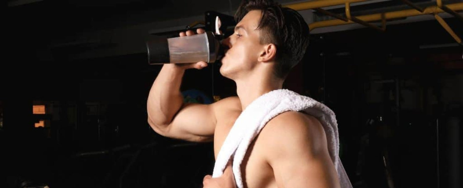 Shilajit for Energy, Vitality, and Wellness