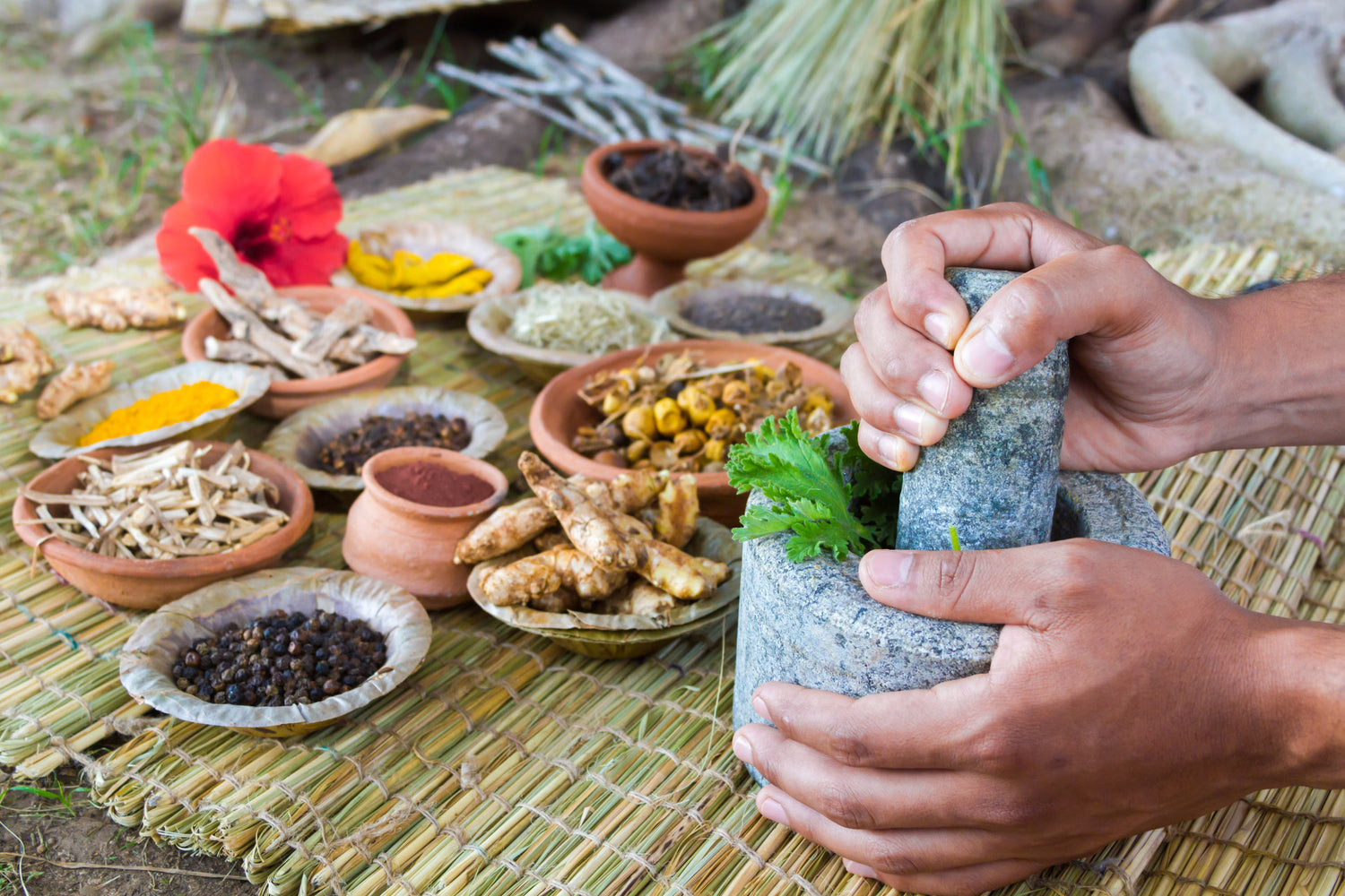 How Plant-Based Medicine Supports Preventive Health