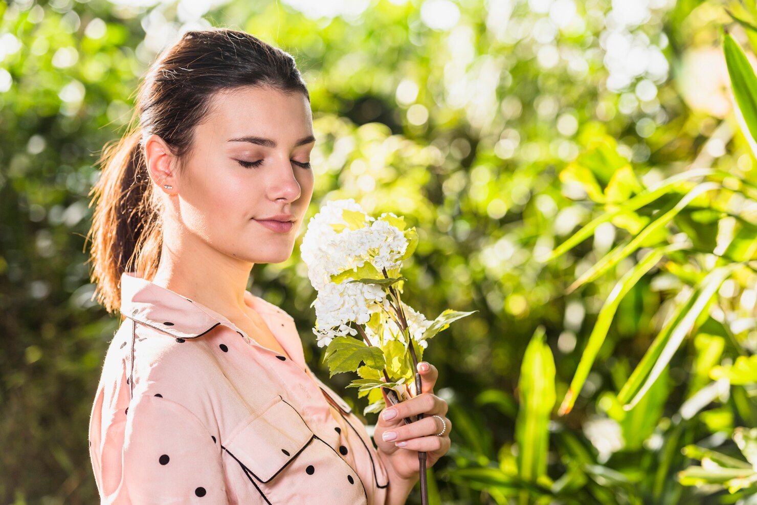 Top 10 Benefits of Giloy for Immunity, Skin and Overall Health