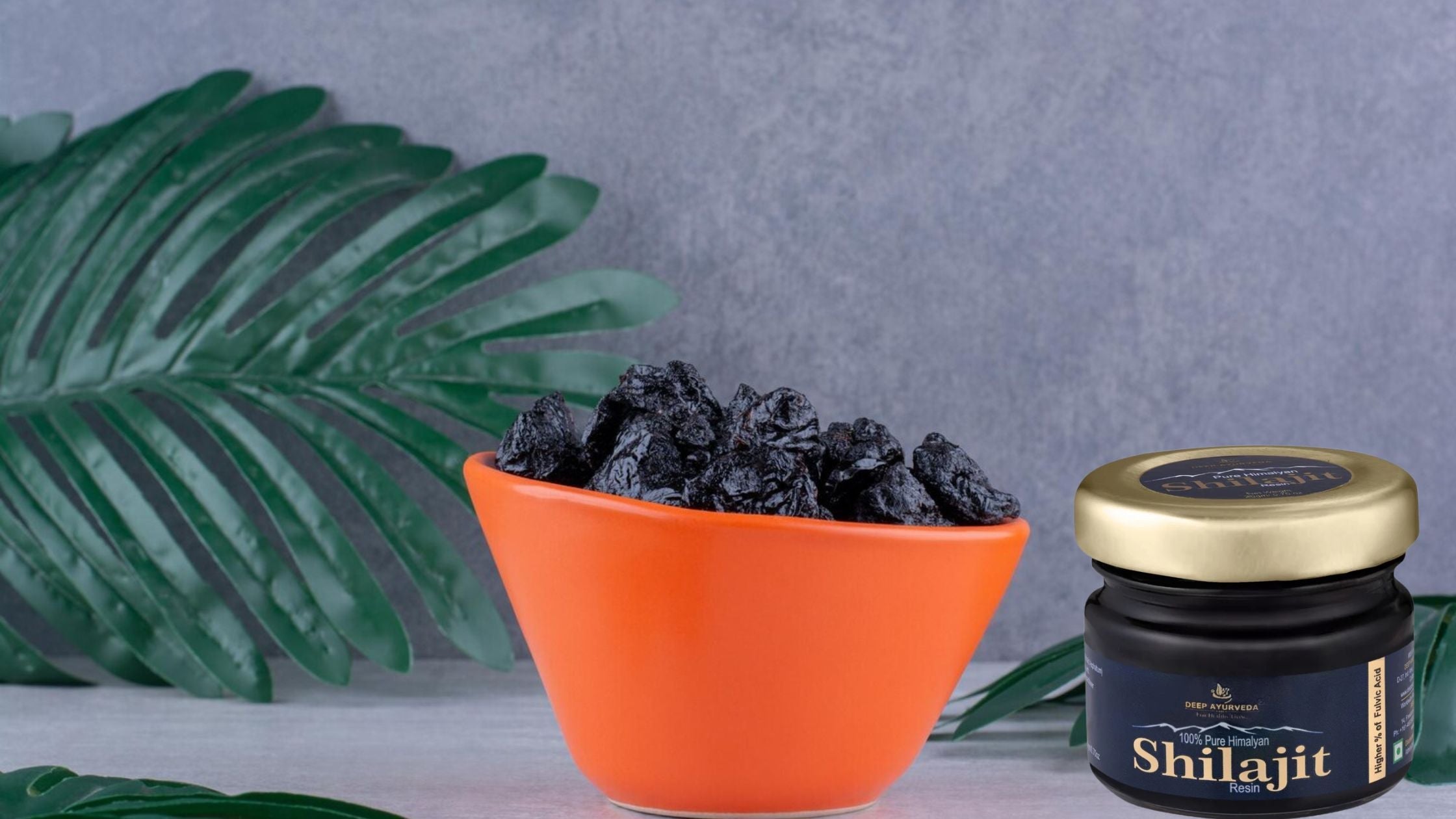 Best Shilajit in India