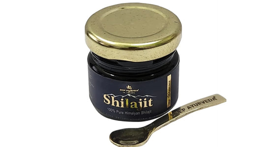 foods to avoid with shilajit