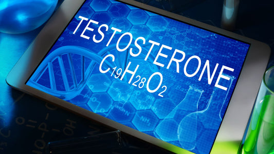 How to Choose the Right Testosterone Booster for Your Body Type?
