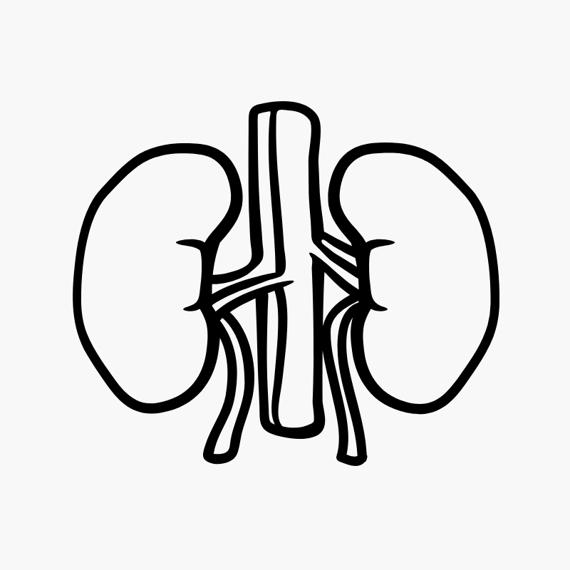 Kidney Wellness
