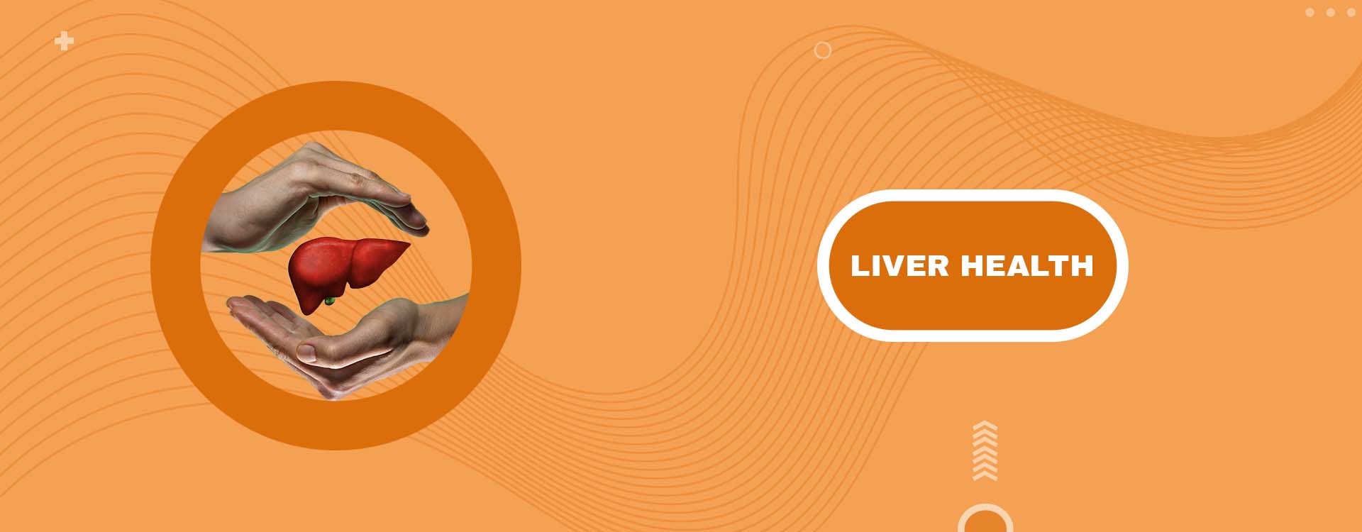 Liver Health