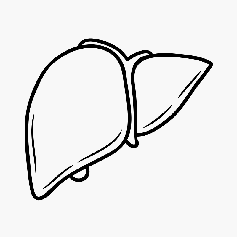 Liver Wellness