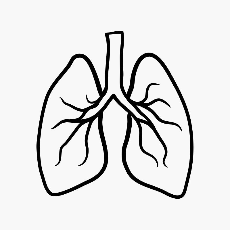 Lungs Wellness