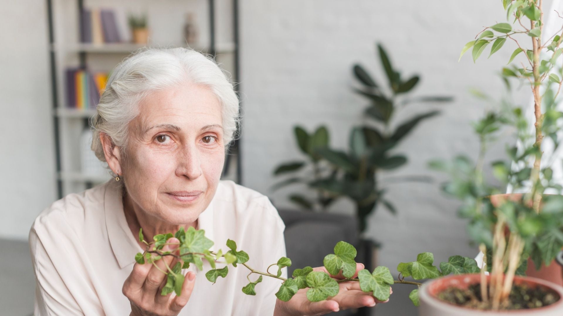 Old Age Health