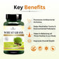 Wheatgrass Vegan Capsules - Detoxifies, Boosts Immunity & Promotes Wellness - Deep Ayurveda India
