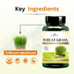 Wheatgrass Vegan Capsules - Detoxifies, Boosts Immunity & Promotes Wellness - Deep Ayurveda India