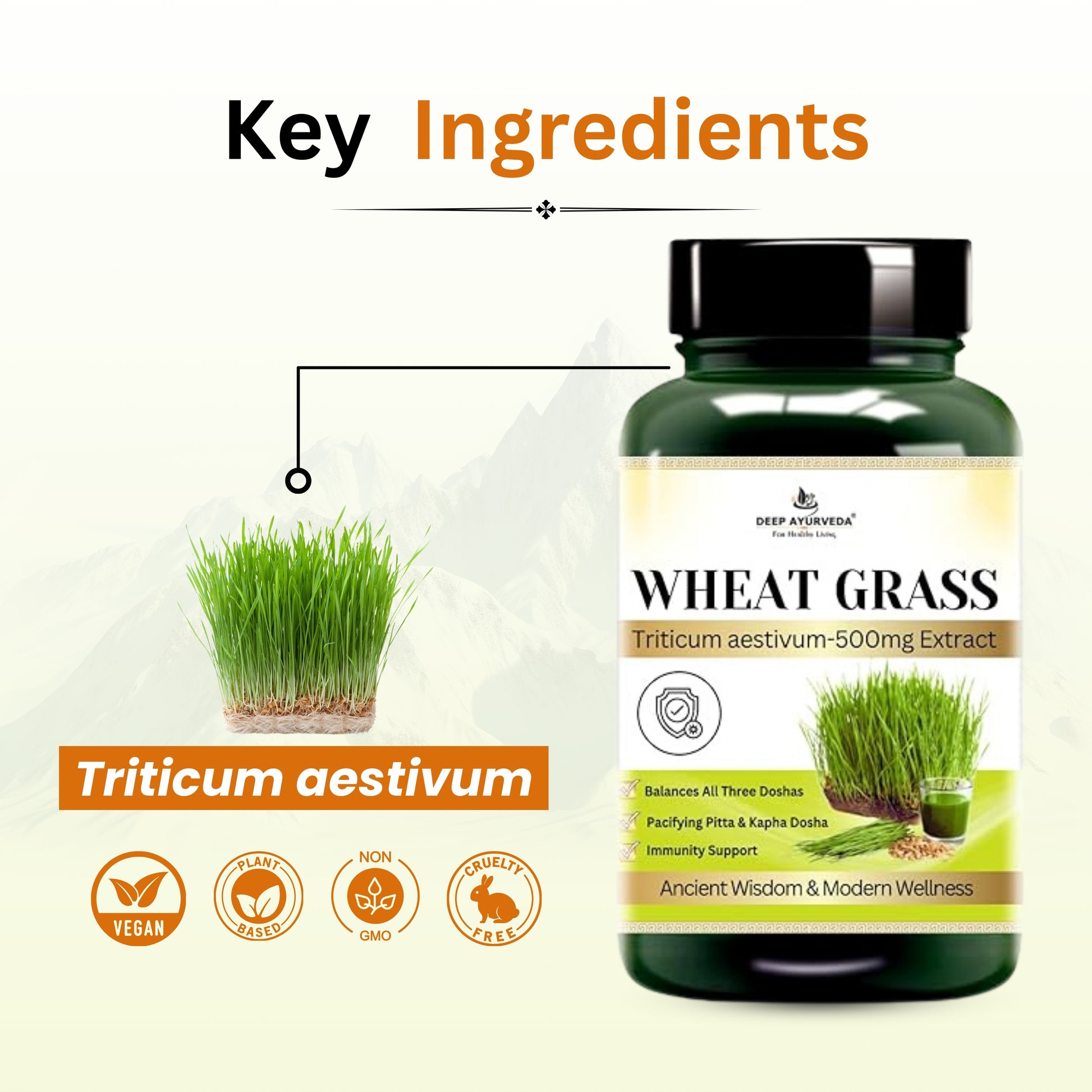 Wheatgrass Vegan Capsules - Detoxifies, Boosts Immunity & Promotes Wellness - Deep Ayurveda India