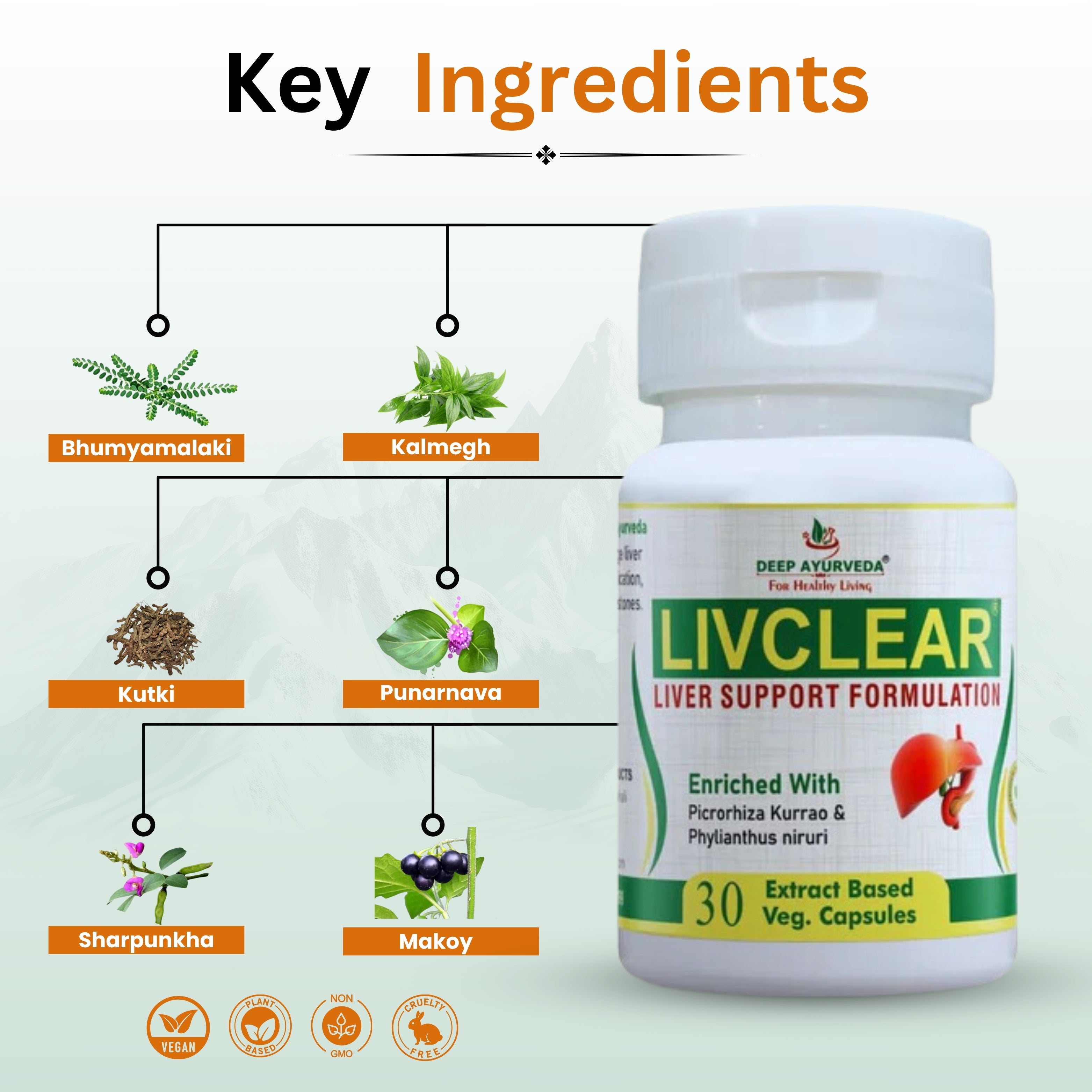 LivClear Key Ingredients