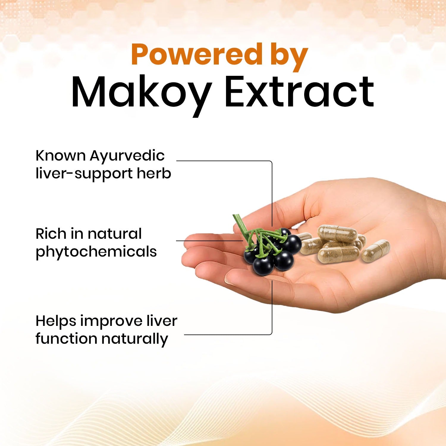 Hand holding makoy extract capsules with text about its benefits on a gradient background