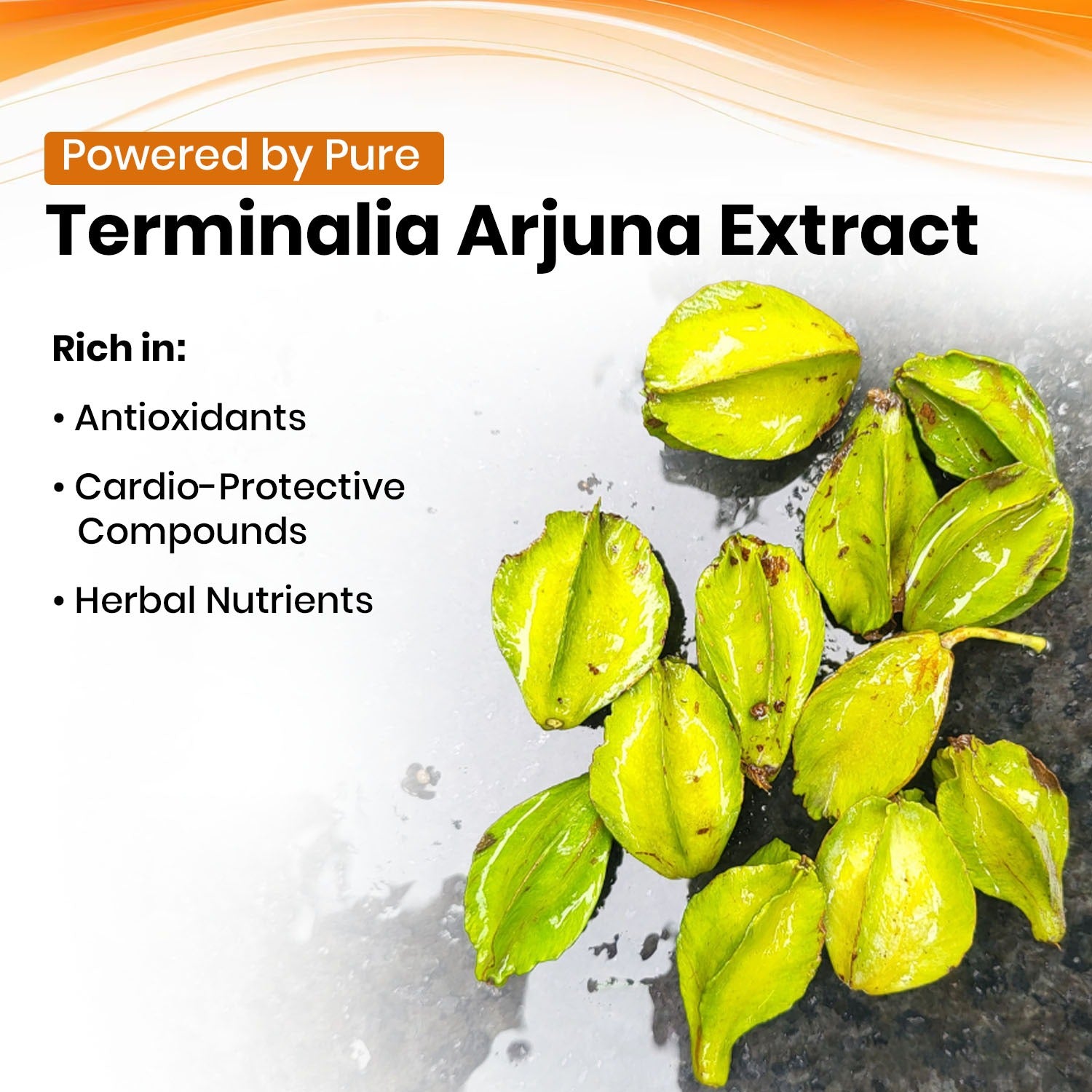 अर्जुन 10:1 एक्सट्रेक्ट आधारित शाकाहारी कैप्सूल | हृदय स्वास्थ्य, रक्त परिसंचरण, रक्तचाप, और समग्र हृदय कार्य को बढ़ाने में सहायता करता है