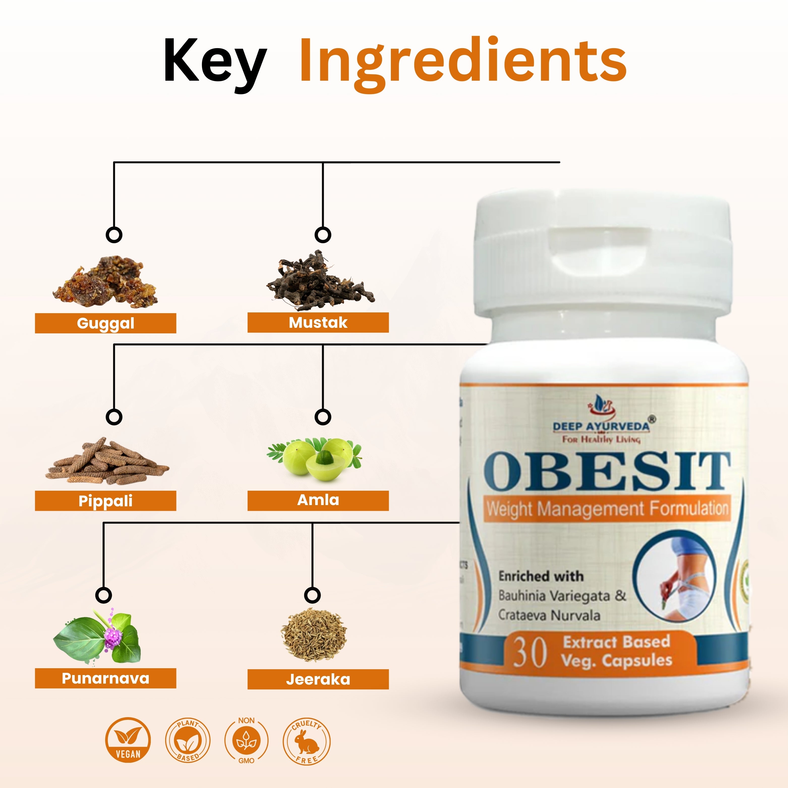 Obesit Key Ingredients