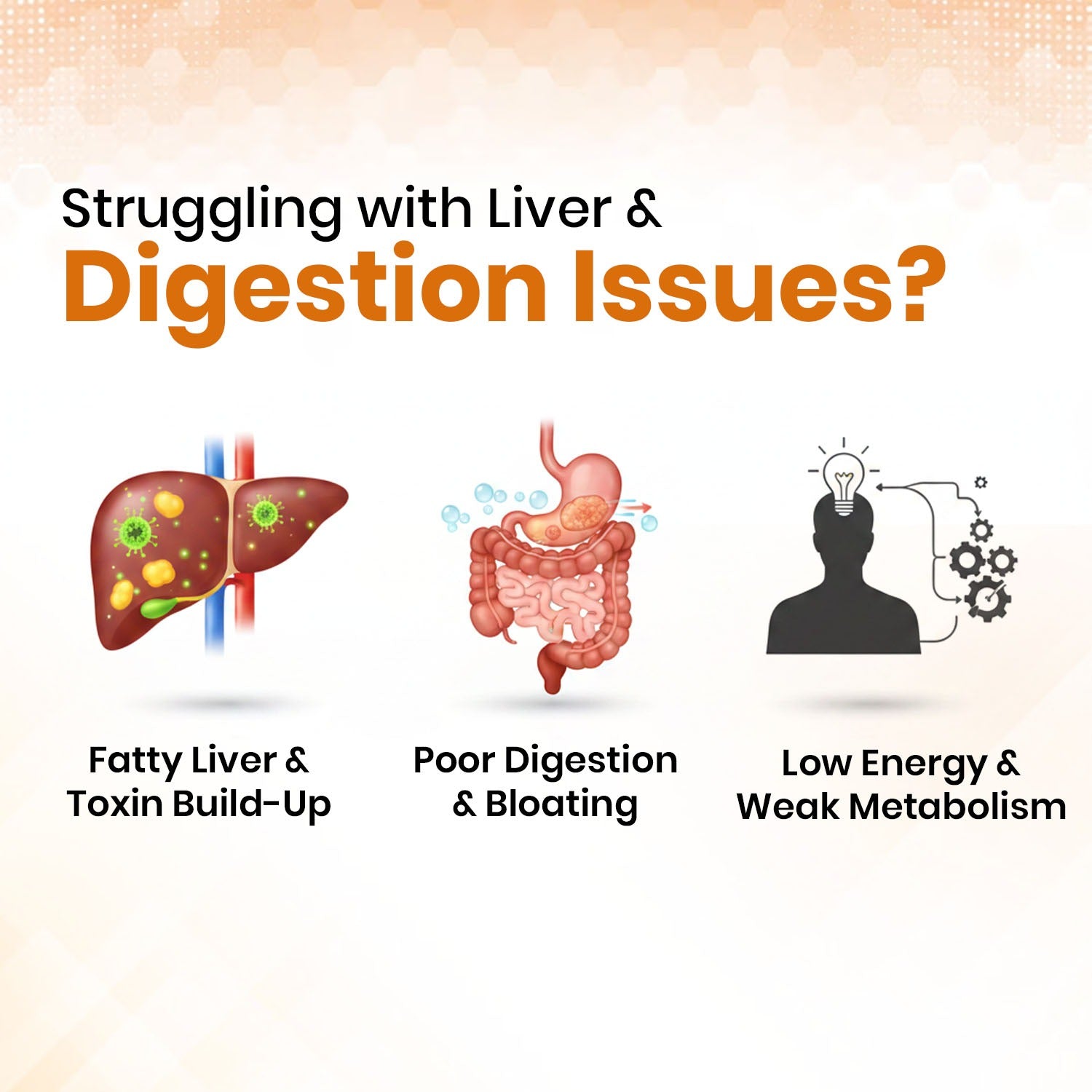 Illustration of liver, stomach, and brain with text about liver and digestion issues on a gradient background.