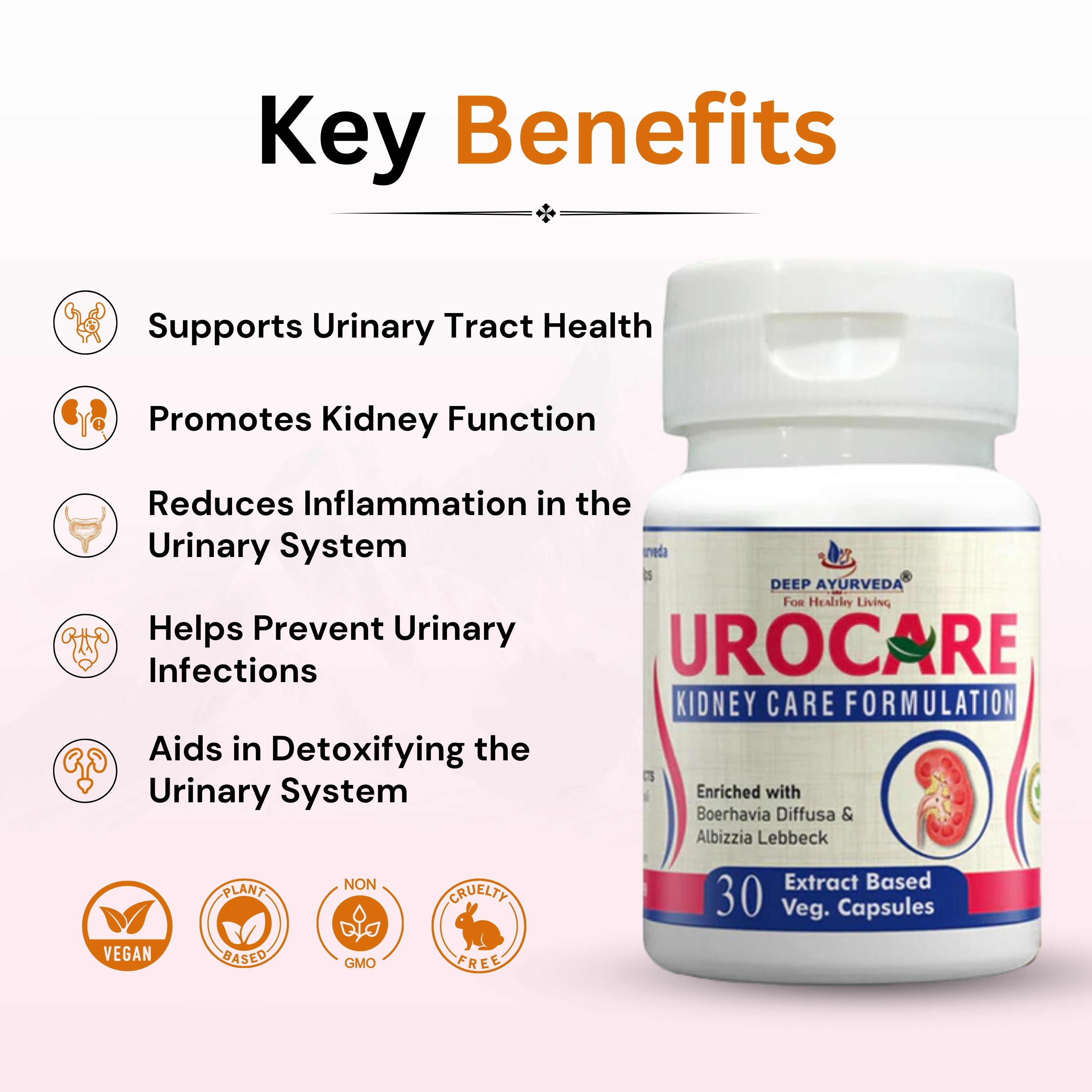 Urocare Capsule Key Benefits
