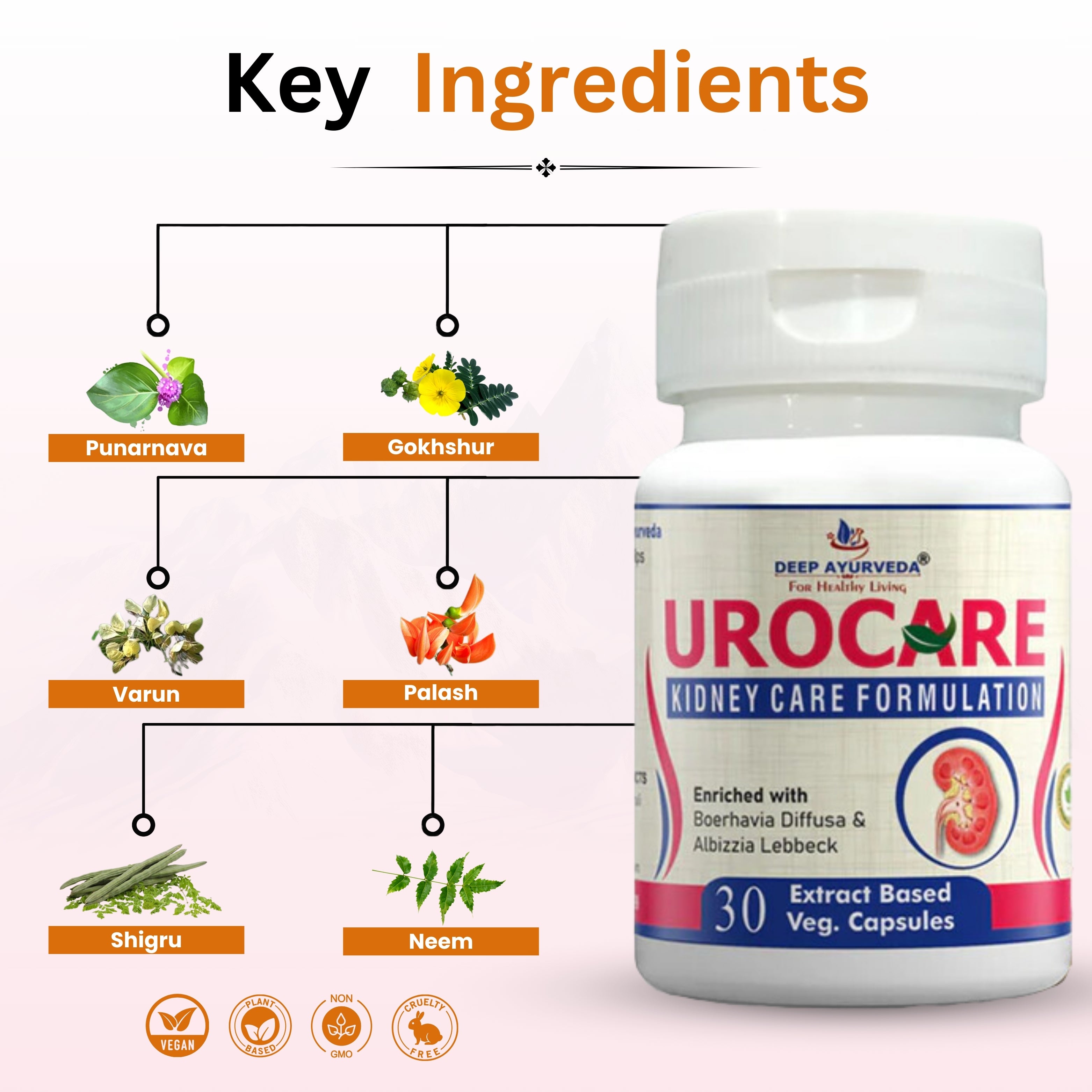 Urocare Capsule Key Ingredients