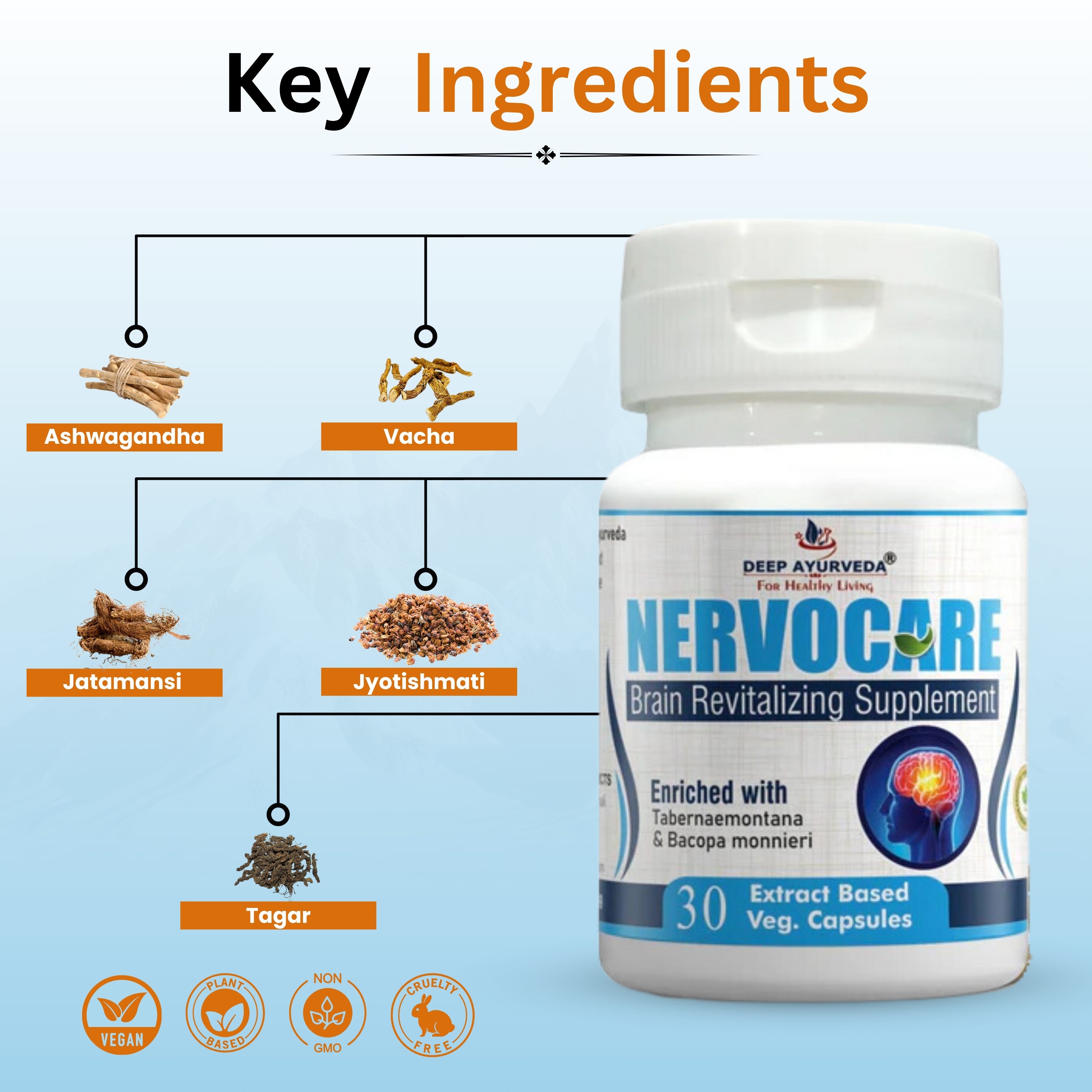 Deep Ayurveda Nervocare Key Ingredients