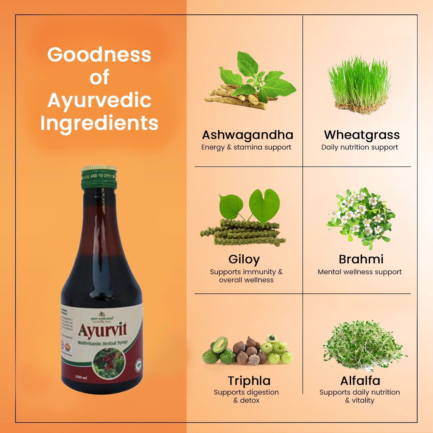 Ayurvit Multivitamin Syrup - Boosts Immunity, Vitality & Overall Health