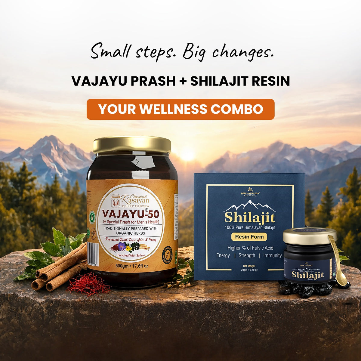 Vajayu Prash & Pure Himalayan Shilajit Resin Combo
