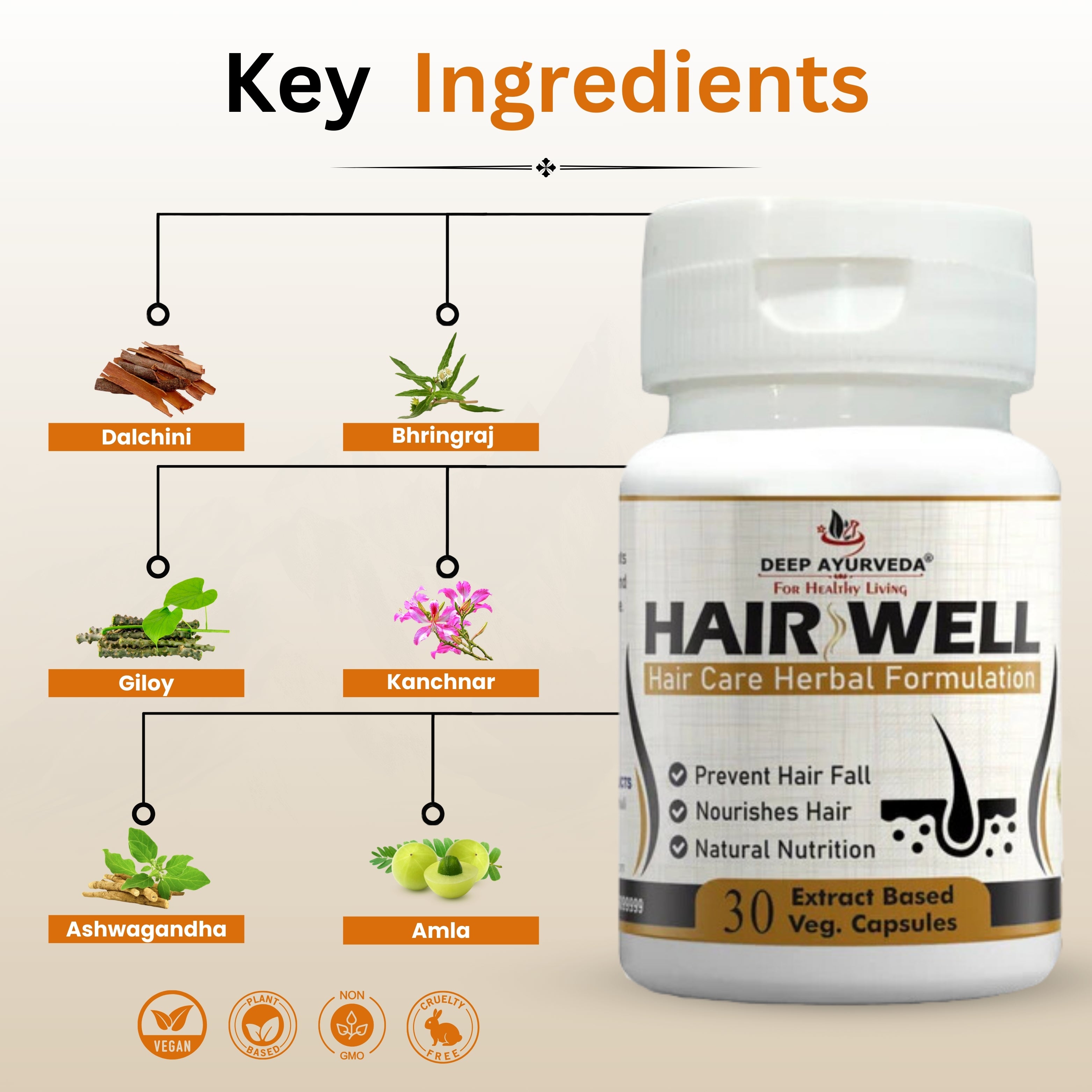 Hairwell capsule Key Ingredients