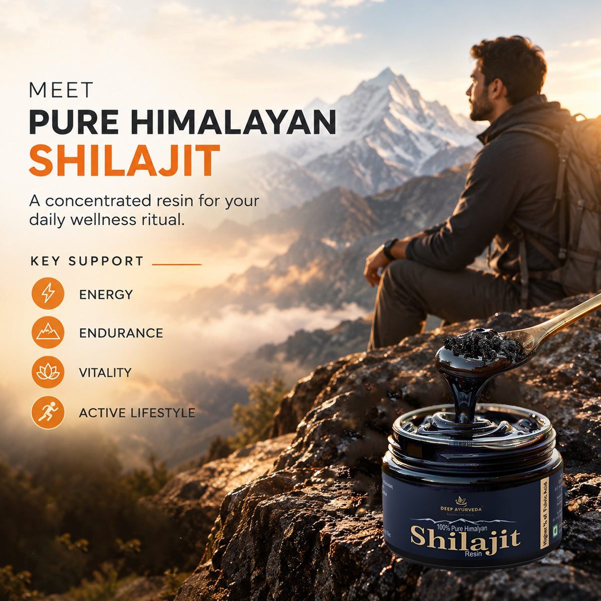 Vajayu Prash & Pure Himalayan Shilajit Resin Combo