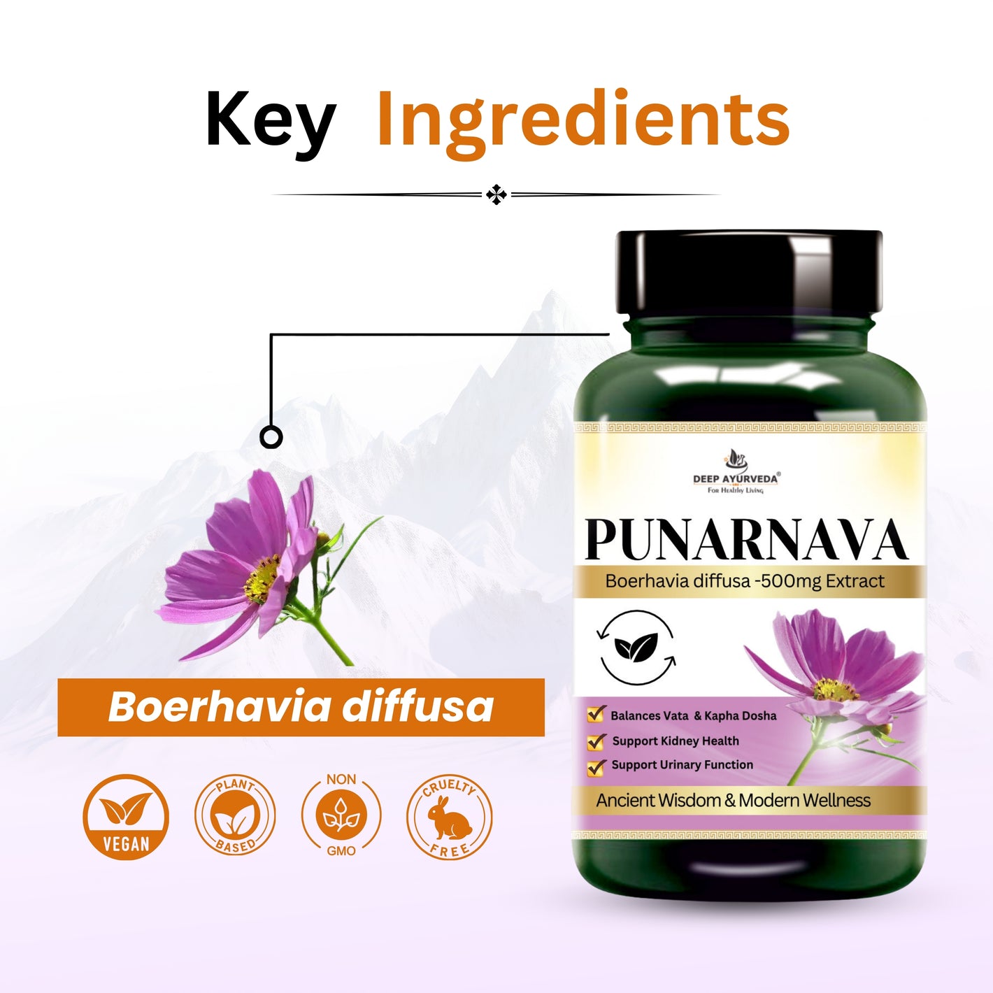 Punarnava Vegan Capsules - Promotes Kidney Health, Detoxification & Urinary Wellness - Deep Ayurveda India
