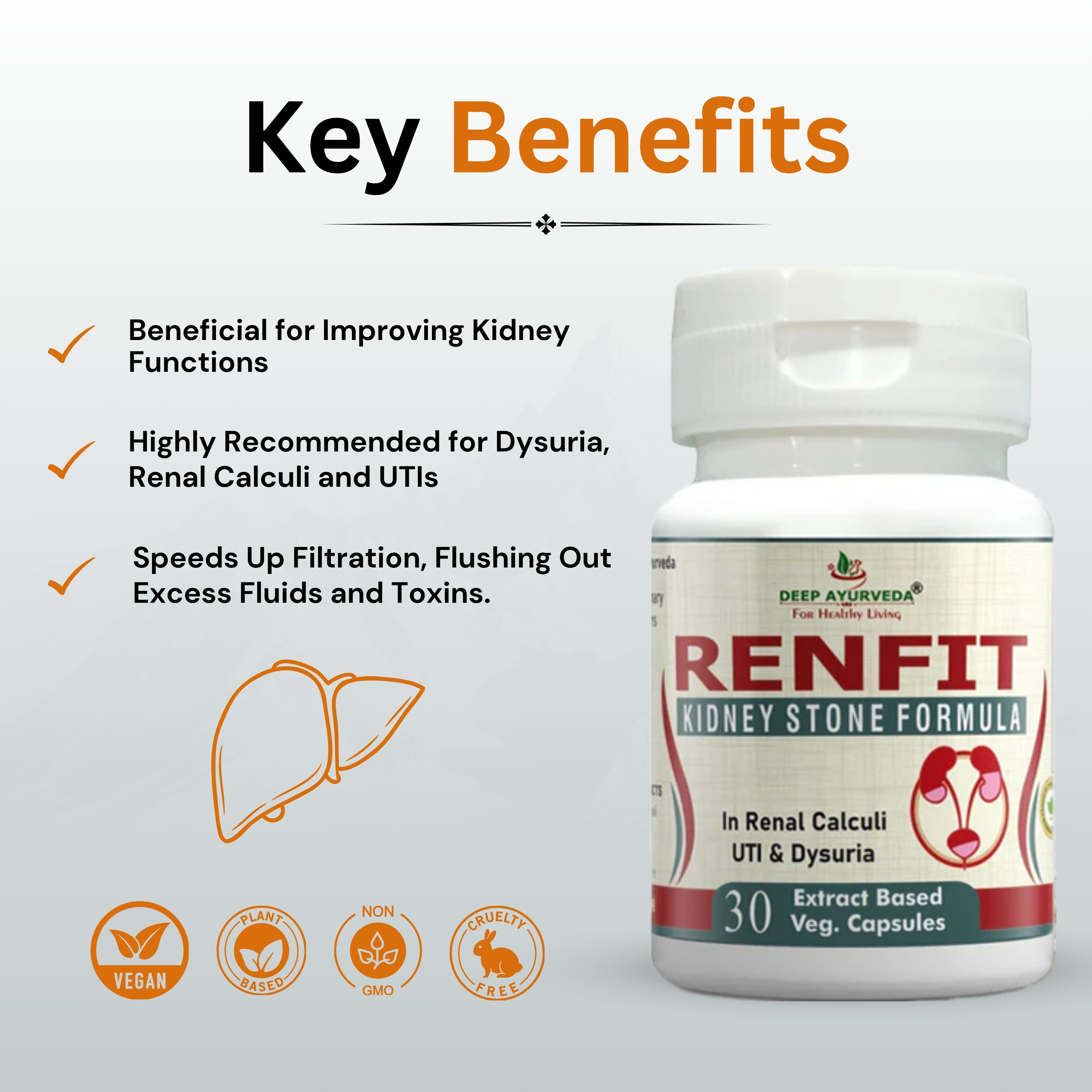 Renfit capsule Key Benefits