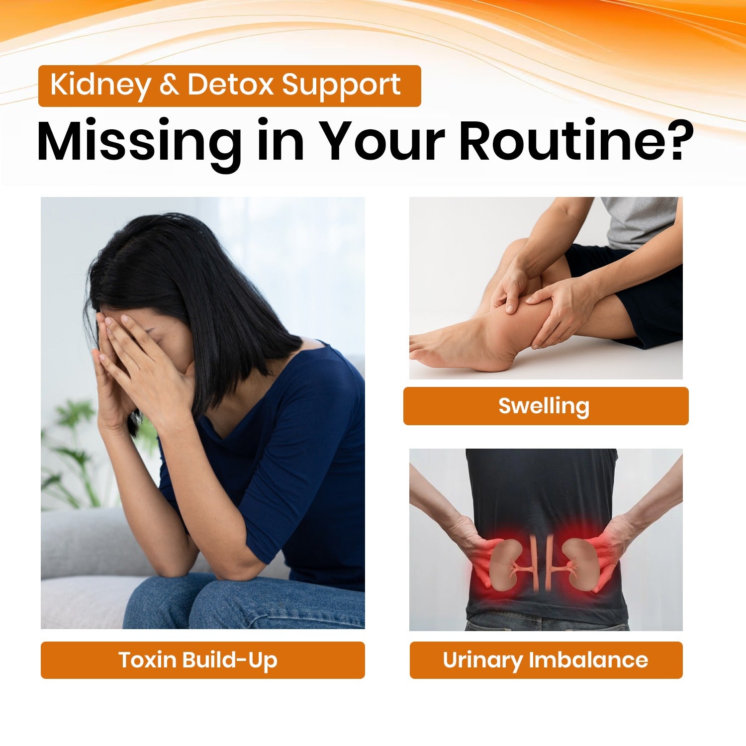 Punarnava Vegan Capsules - Promotes Kidney Health, Detoxification & Urinary Wellness