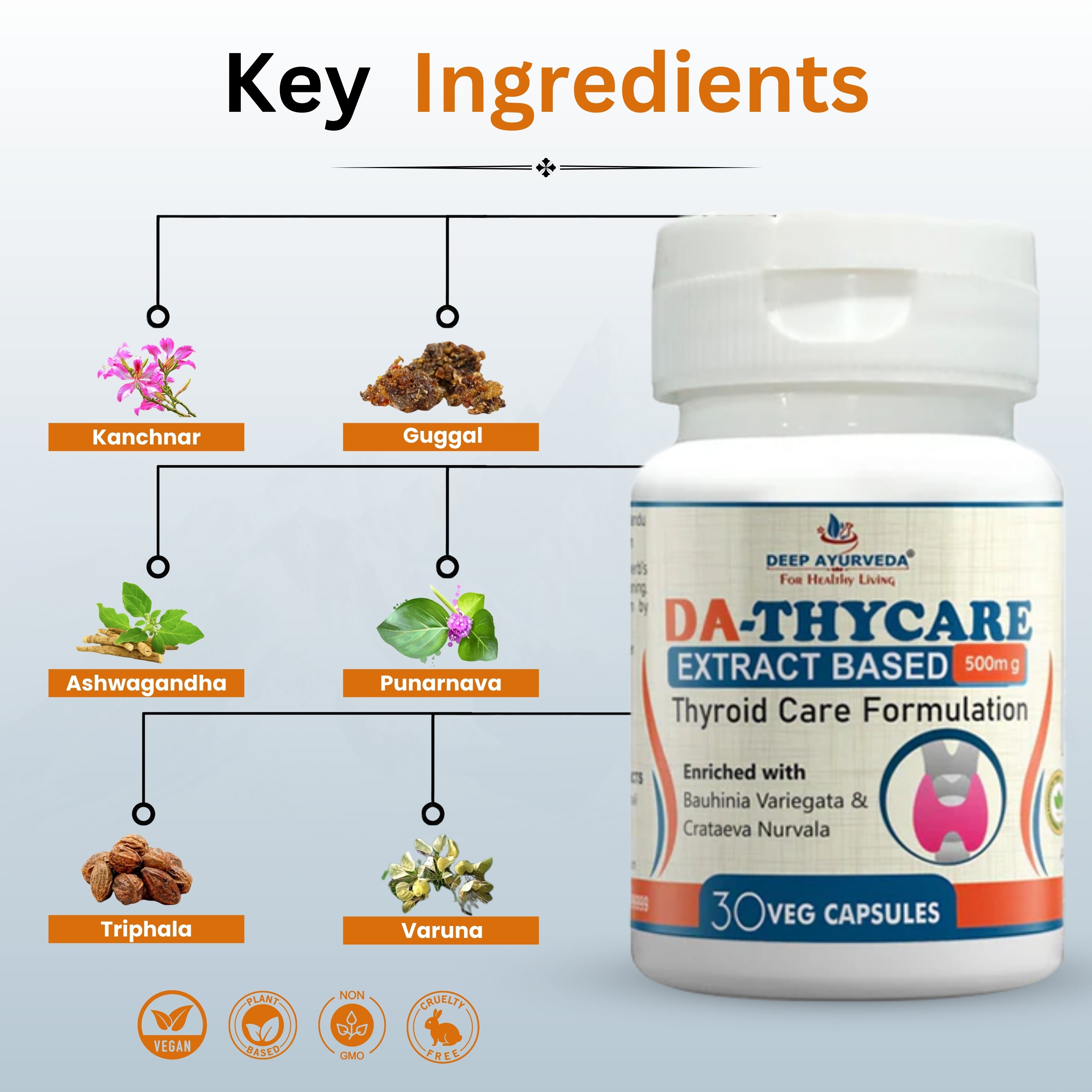 DA-Thycare capsule Key Ingredients