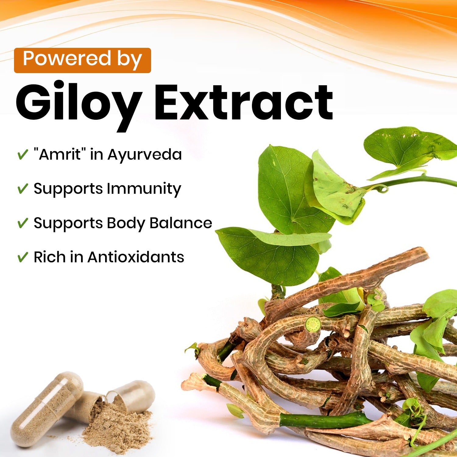 Giloy Capsules - Boosts Immunity, Reduces Inflammation & Promotes Wellness